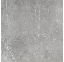 Feinsteinzeug Bodenfliese Discreet Gris Pulido 80x80 cm glänzend rektifiziert