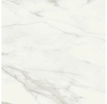 Feinsteinzeug Bodenfliese Eterna White Pulido 120x120 cm glänzend rektifiziert