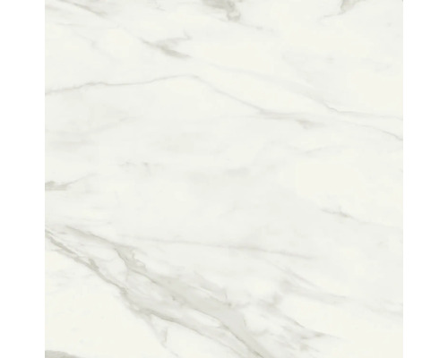 Feinsteinzeug Bodenfliese Eterna White Pulido 120x120 cm glänzend rektifiziert Feinsteinzeug Bodenfliese Eterna White Pulido 120x120 cm glänzend rektifiziert