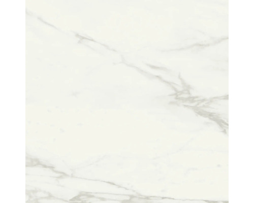 Feinsteinzeug Bodenfliese Eterna White Pulido 80 80 cm glänzend rektifiziert