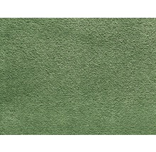 Grüne Putzfassade