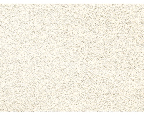 Teppichboden Shaggy Venezia sand FB30 400 cm breit (Meterware) Nahaufnahme einer Putzoberfläche