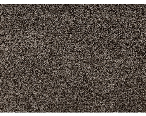 Teppichboden Shaggy Venezia dunkelbraun FB49 400 cm breit (Meterware) Nahaufnahme einer Putzoberfläche