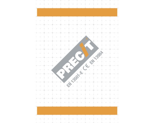 Precit Logo