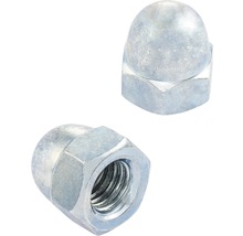 Zwei Hutmuttern aus Metall
