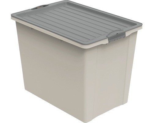 Aufbewahrungsbox Rotho 57x43,5x39,5 cm 1-tlg. Aufbewahrungsbox mit Deckel