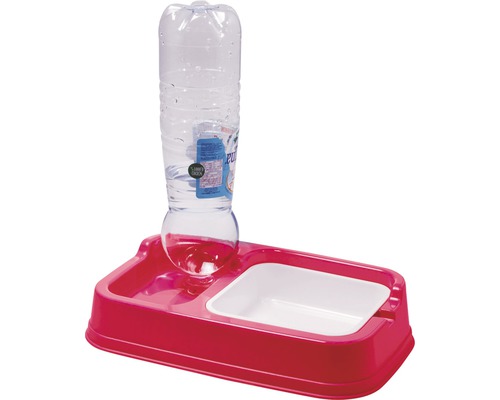 Automatischer Haustier-Wasserspender mit Flasche und Napf