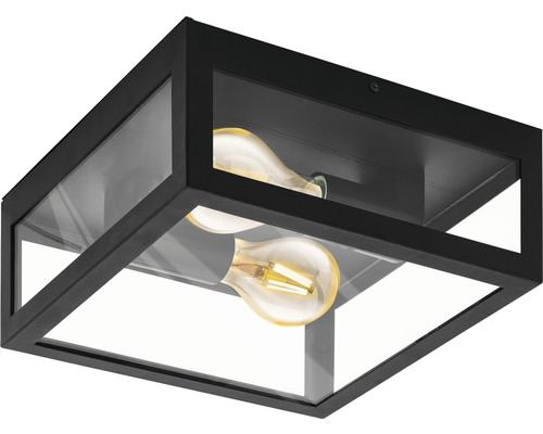 Schwarze Deckenleuchte mit zwei Leuchtmitteln und Glaseinsatz