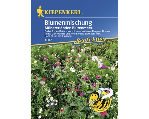 Blumenmischung "Münsterländer Blütenmeer" Kiepenkerl Blumensamen