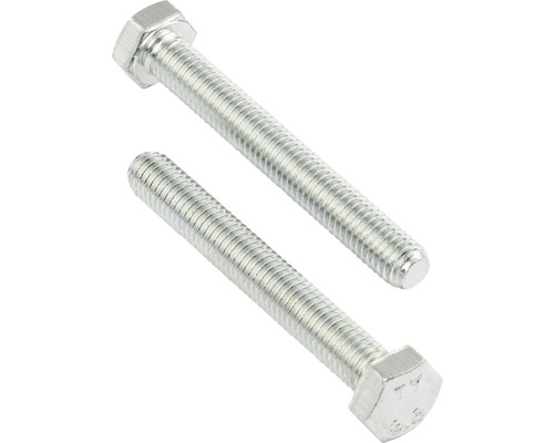 Zwei Sechskantschrauben aus Metall