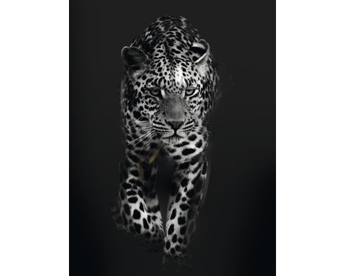 Kunstdruck Leopard Dark 60x80 cm