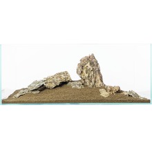 Dekoratives Aquarium mit Steinen und Bodengrund