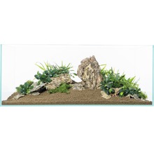 Eingerichtetes Aquarium mit Pflanzen und Steinen