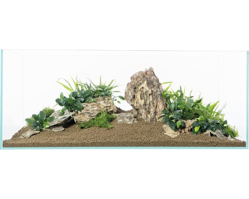 Eingerichtetes Aquarium mit Pflanzen und Steinen