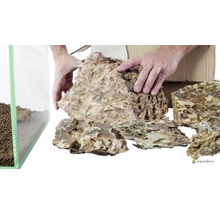 Dekoratives Gesteinsset für die Aquariengestaltung mit Bodengrund und Händen