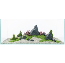 Dekoratives Aquarium mit Steinen, Kies und Pflanzen