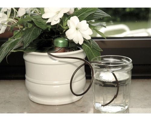 Bewässerungssystem für Pflanzen mit Topf, Schlauch und Wasserbehälter