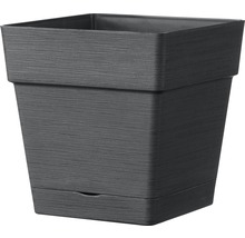 Pflanztopf Deroma Quadro Save R 17x17 H 17 cm Kunststoff anthrazit