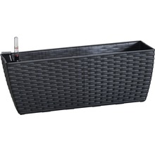 Blumenkasten Lafiora Kunststoff 50 x 18,5 x 18,5 cm anthrazit