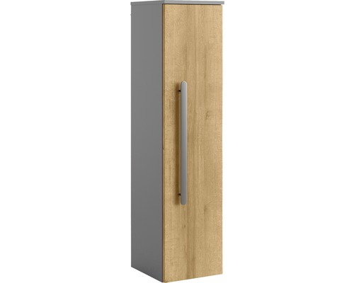 Hochschrank mit Tür und Griff