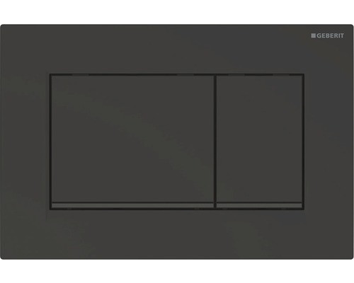 Betätigungsplatte Geberit Sigma 30 2-Mengentechnik schwarz glänzend /Streifen der Drucktaste matt