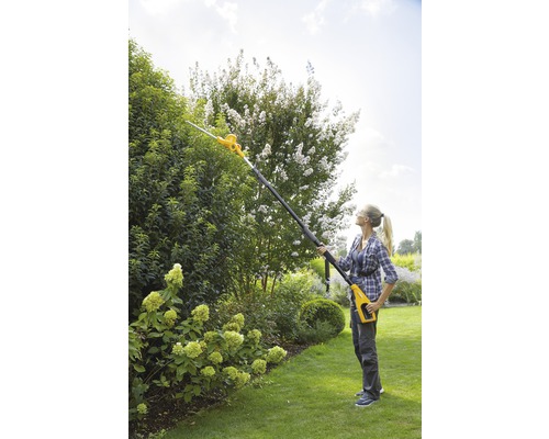 Eine Frau schneidet eine Hecke mit einer Akku-Teleskop-Heckenschere im Garten.