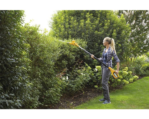 Frau schneidet Hecke mit einer Akku-Heckenschere im Garten.
