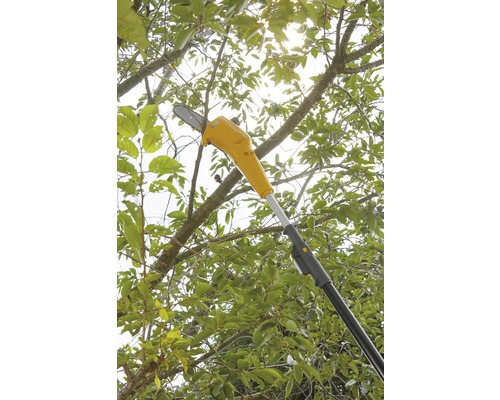 Astsäge im Einsatz zum Beschneiden von Ästen an einem Baum