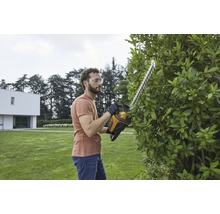 Ein Mann schneidet mit einer Heckenschere eine Hecke im Garten.