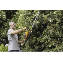 Mann schneidet Hecke mit einer Heckenschere