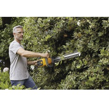 Ein Mann schneidet eine Hecke mit einer Heckenschere. Er trägt eine Schutzbrille.