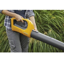 Person hält Laubbläser der Marke Stiga