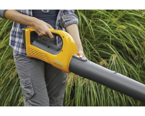 Person hält Laubbläser der Marke Stiga