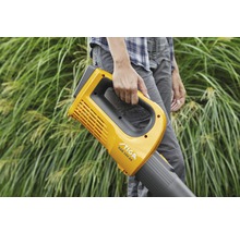 Person hält einen Laubbläser der Marke Stiga.