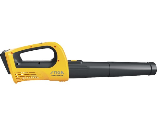 Akkubetriebenes Laubgebläse