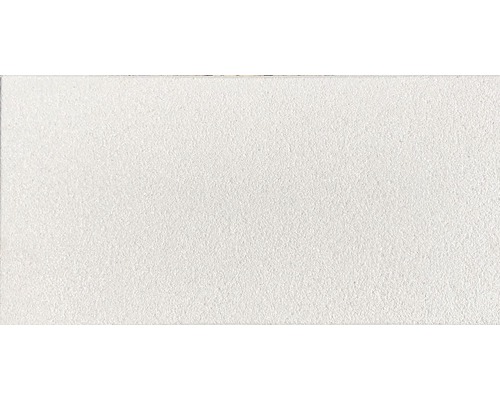 Beton Terrassenplatte Mathias weissgrau kugelgestrahlt 40 x 80 x 3,9 cm Betonpflasterstein