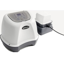 Intex Steuergerät mit Pumpe