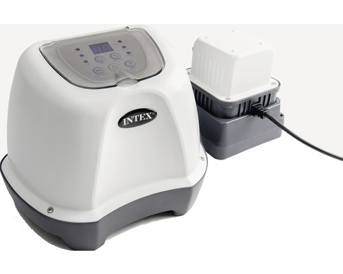 Intex Steuergerät mit Pumpe