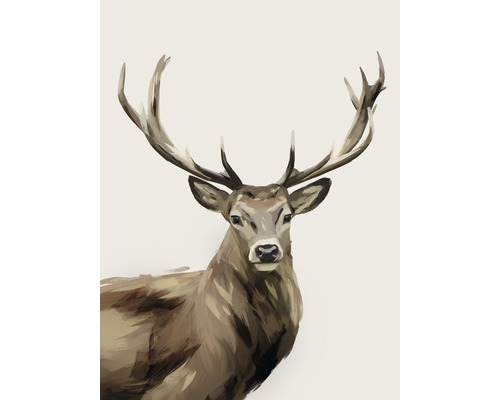 Kunstdruck Deer 50x70 cm