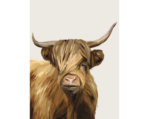 Kunstdruck Highland Cow 24x30 cm