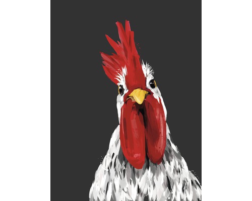 Kunstdruck Chicken 60x80 cm