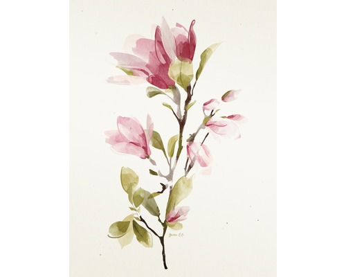 Kunstdruck Magnolia I 60x80 cm
