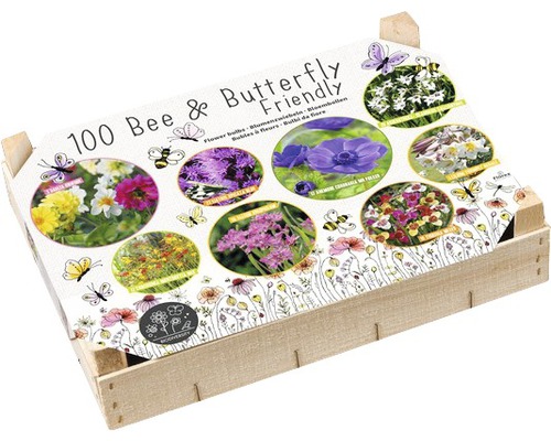 Blumenzwiebel Big Box 'Bio-Diversität' 100 Stk.