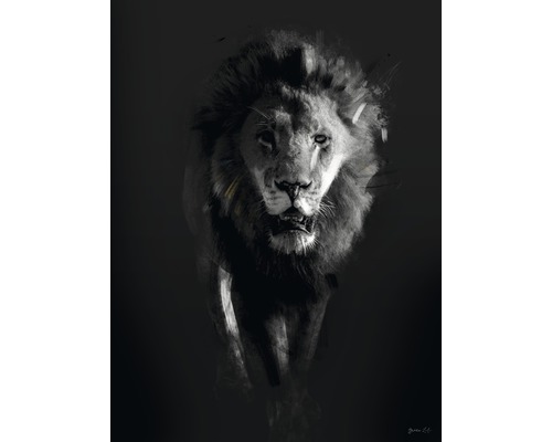 Kunstdruck Lion Dark 40x50 cm