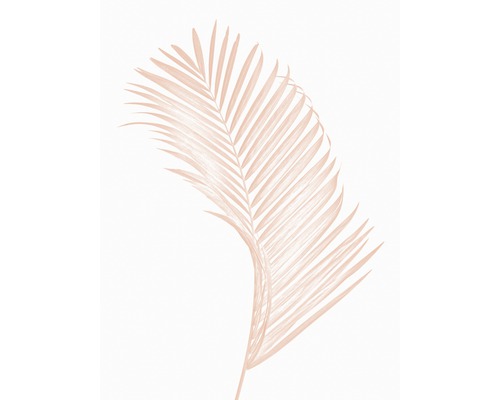 Kunstdruck Palm Leaf 24x30 cm