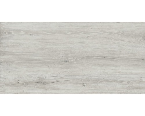 Feinsteinzeug Bodenfliese Count Moon 60x120 cm grau matt rektifiziert Feinsteinzeug Bodenfliese Count Moon 60x120 cm grau matt rektifiziert
