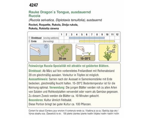 Rauke Dragon''s Tongue Anbauhinweise
