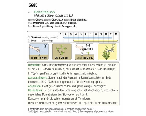 Informationen zu Aussaat und Ernte von Schnittlauch