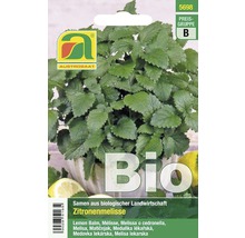 Zitronenmelisse Samenpackung von Austrosaat für den biologischen Anbau