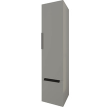 Hoher Badezimmerschrank mit Tür und Schublade